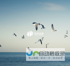 杉杉企业