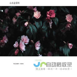 首页-山水盆景网